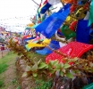 Bhudha temple view