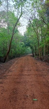 Kutumsar road kangervalleynationalpark 