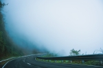 Into the Mist – The Road Less Seen 
