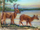 DEER CRAFT