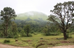 Natural landscape