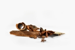 Cinnamon Stick
