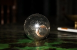 Bulb