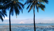 Sea