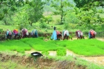 Worker