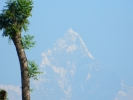 Himalaya