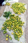 vitamin c