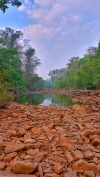 Beautiful morning view of the kangervalley national Park 