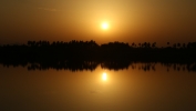 Nature photography 