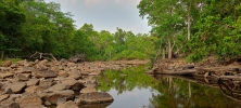 River side  Munga hahar Nala 