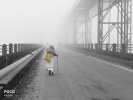 fog