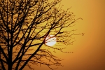 Setting sun-Golden hour