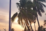  Beautiful nature in evening time