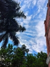 Limitless sky lovely nature
