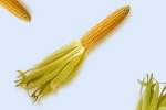 Fresh Corn