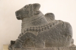 Nandi the bull