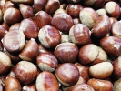 Chestnuts