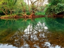 Reflection in river a beautiful view of jungle.