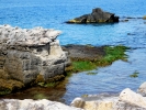 Sea