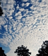 beautiful white clouds