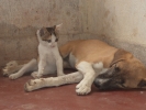 friendship