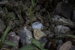 Indian One Rupee