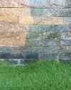 Background wall & grass images 