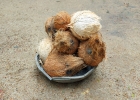 coconut  