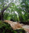 A unique view of waterfall during rainy season in Bastar