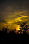 Golden hour 