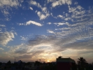 MAGIC OF NATURE