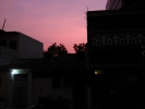 Pink sunset