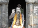 Monk