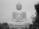 Buddha statue 