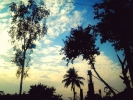 Natural beauty 