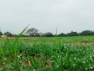 The morning dew.