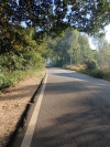 Silent of road