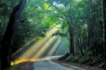 Beautiful morning view of the kangervalley national Park 