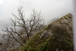 essence of nature