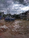 Rain
