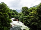 Stream 