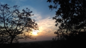 The sunset.