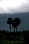 rainy season