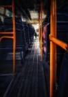 Lonely