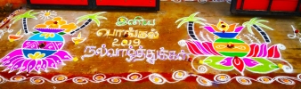 Pongal rangoli