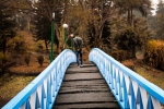 Wooden Bridge || Digboi Centenary Park || Assam