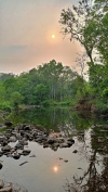 Nature view 