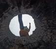 This scene is a picture taken from inside the hollow of a dry tree, which people find interesting to see near by kanger velly national park Jagdalpur bastar Chhattisgarh 