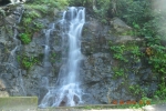 Waterfall,water,wild,rock,green,greens, greenery, Forrest,Forrest waterfall,rainy,rain, monsoon,monsoon waterfall