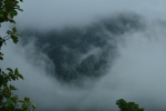 Mist covered the mountain 